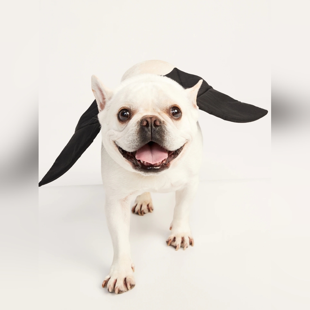 2 LEFT !! NWT | Old Navy Bat Pet Halloween Costume Harness | Size Large/XL - Picture 1 of 8